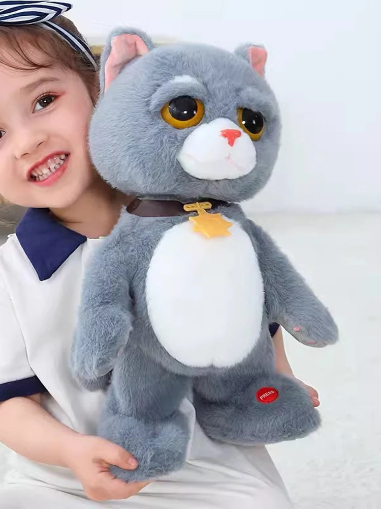 S3764bce736c244dba961b982971c85cd6