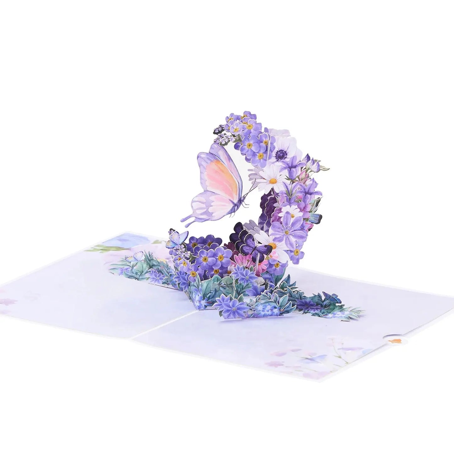 S397f24295c5243e9a7ede912cb3a677eZ