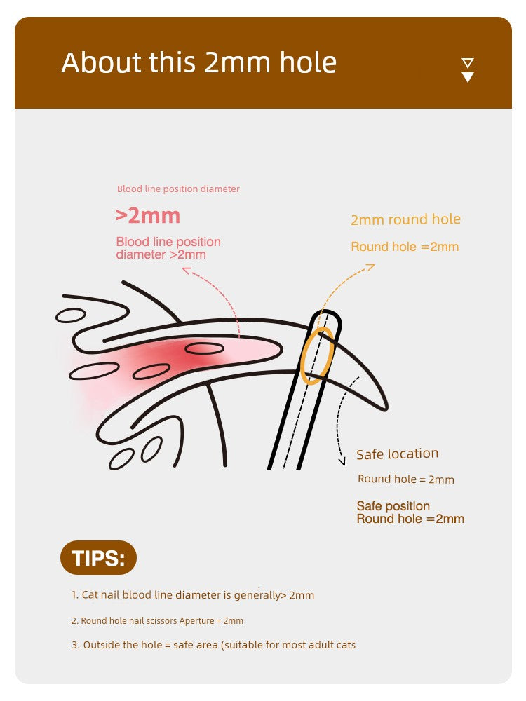 S3eb763d694be420480b5b369996ff830d