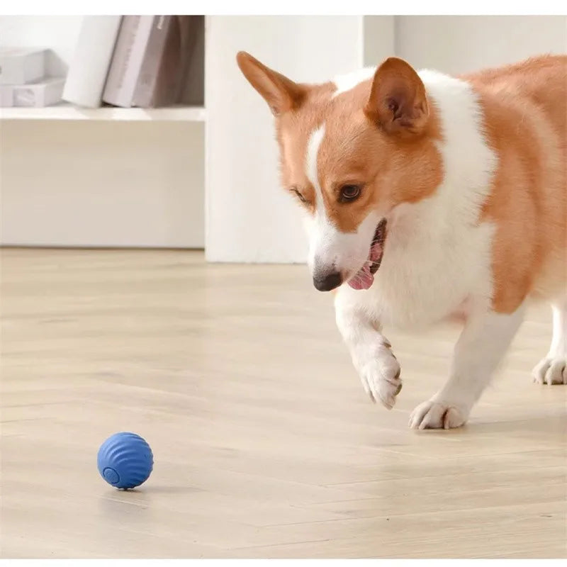 S3ef798d72f904a51ac8e7bfa64f64306q