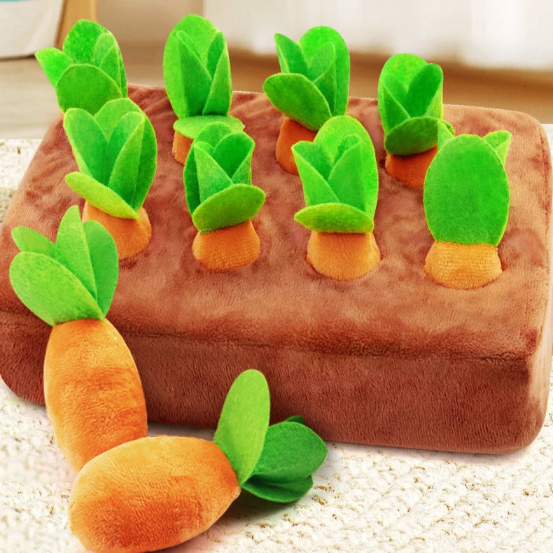 S41d70ef4f6e64e80a1ed3c6fe557cc13Q