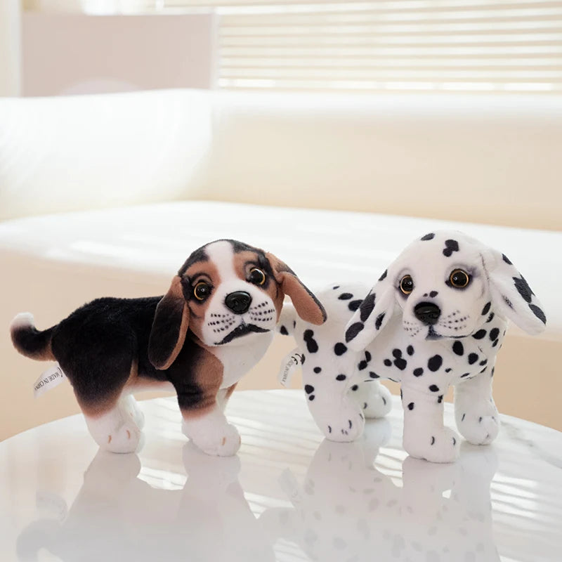 S42d96ab1ca1d44e9b9c2c552c8122257w