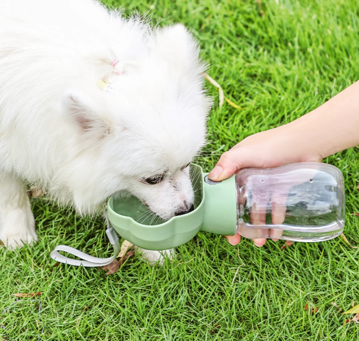 S445c41f05d374bf69da708a0dae6d3768