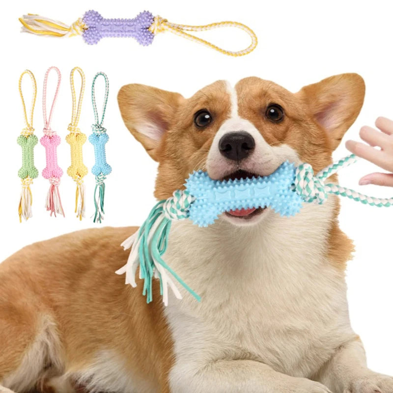 S44acb183ff314c45957d6549c94091c1f