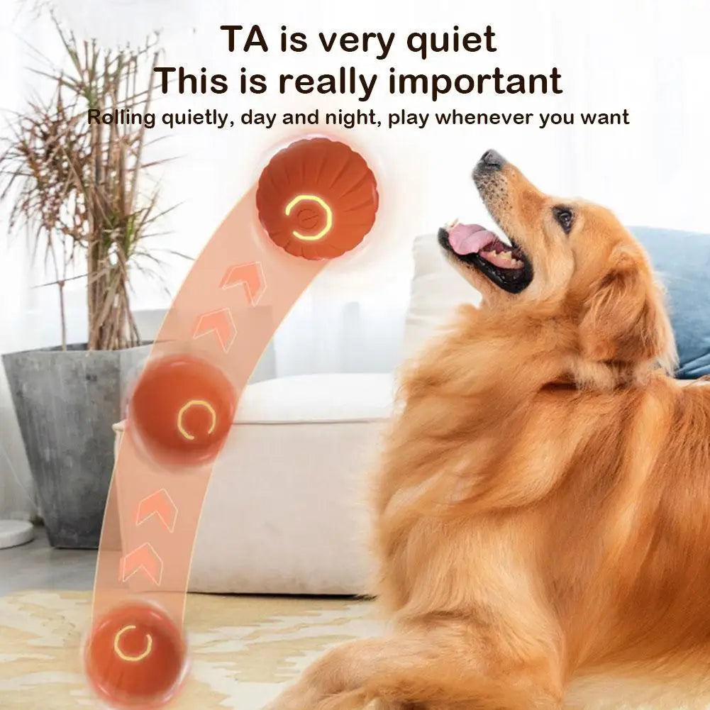 S4563b3f8a7954c8f8dabe0e2e22de67cE