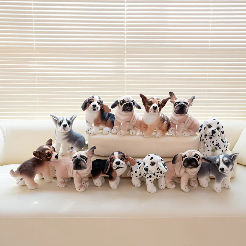 S47ac78699a1846b4bb0a7a3d608f6636T