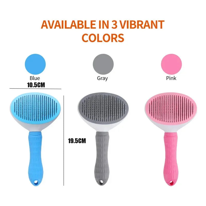 S48913623d02e4046ba9f3a58f8582b39u