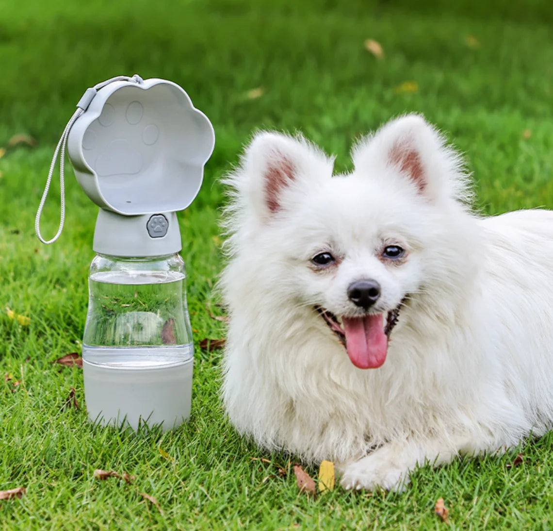 S4ec27b23ef7b4229af60bc8113b9c0d2O