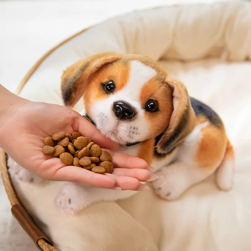 S4f2241a30fca47ff92449ce6b88cd6e9l