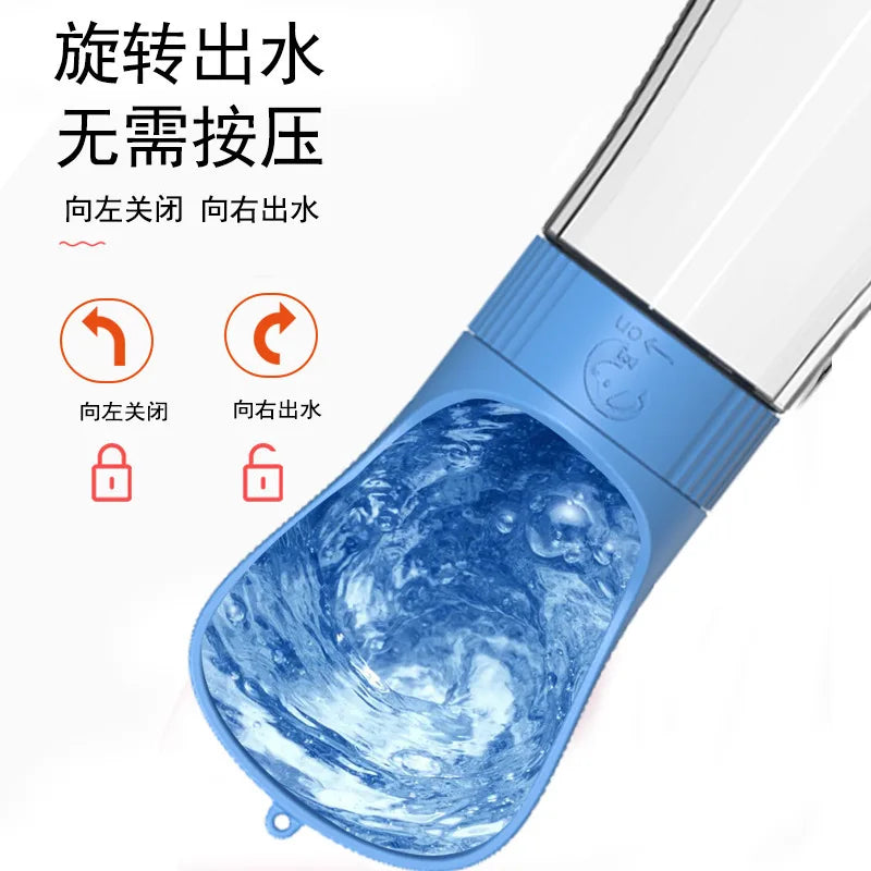 S5895420523304a888c1f284c70ff1600V