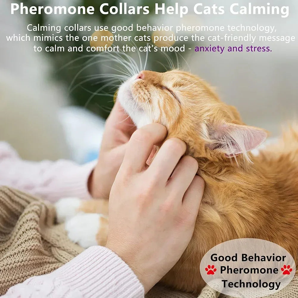 S589f23f4f95f472fa3c1b10740c6dafej