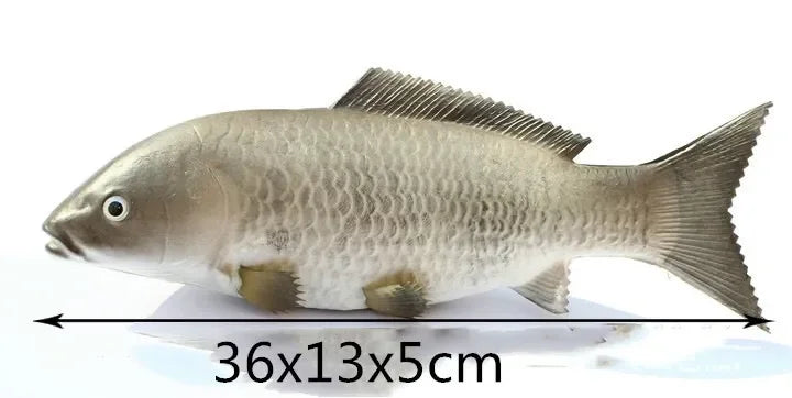 S5c479452fa6d4010a66116d57507315d9