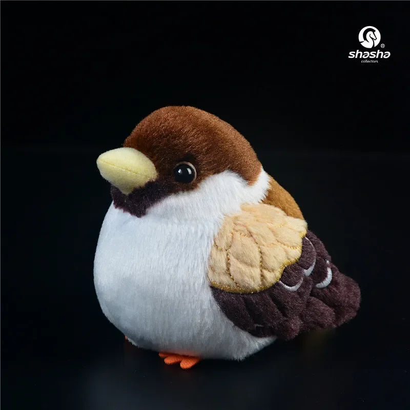 S5d8bd4d12c3244a5a26607a20f8048e6r