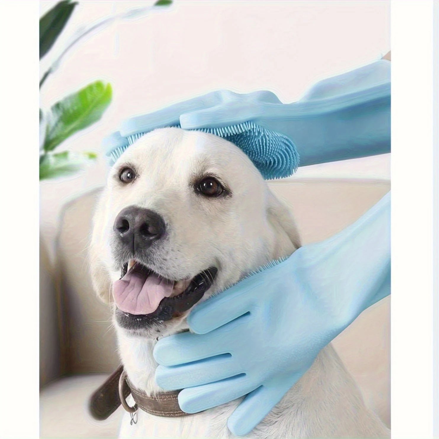 S610276c3ddce452898f5d95caf2d9cffj