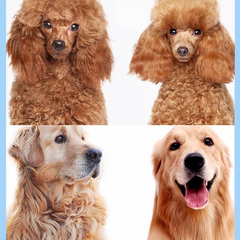 S622d63c65483425c96ee0ef4a11f7e64P