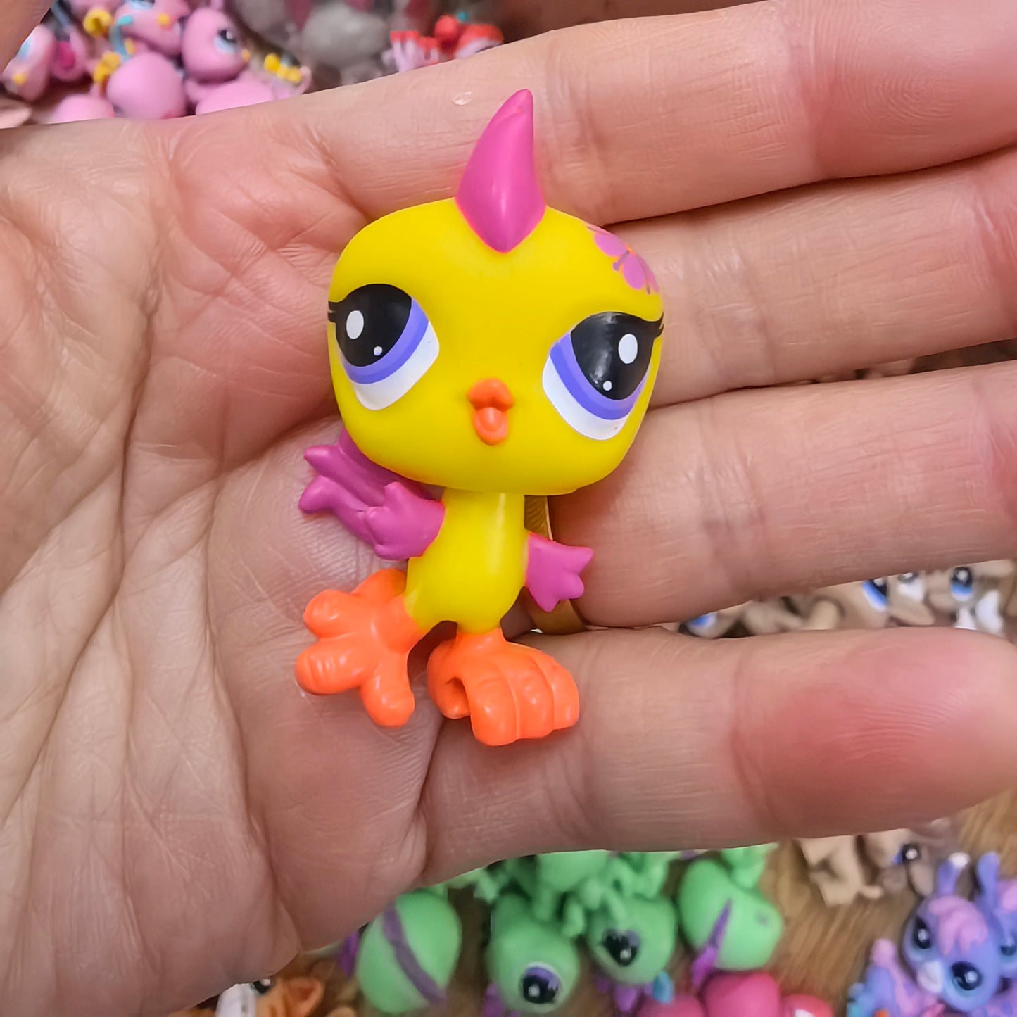 S6b8931ebaae546a3a99e28f0e21e0390c