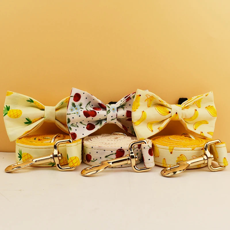 S6e5fcd6dfb4e4664bb0f524ef9dcf9947