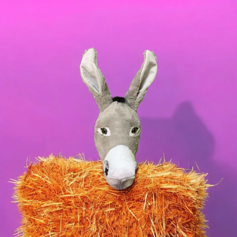 S733e31f7ea5c44b3a41e95aa86919e00m