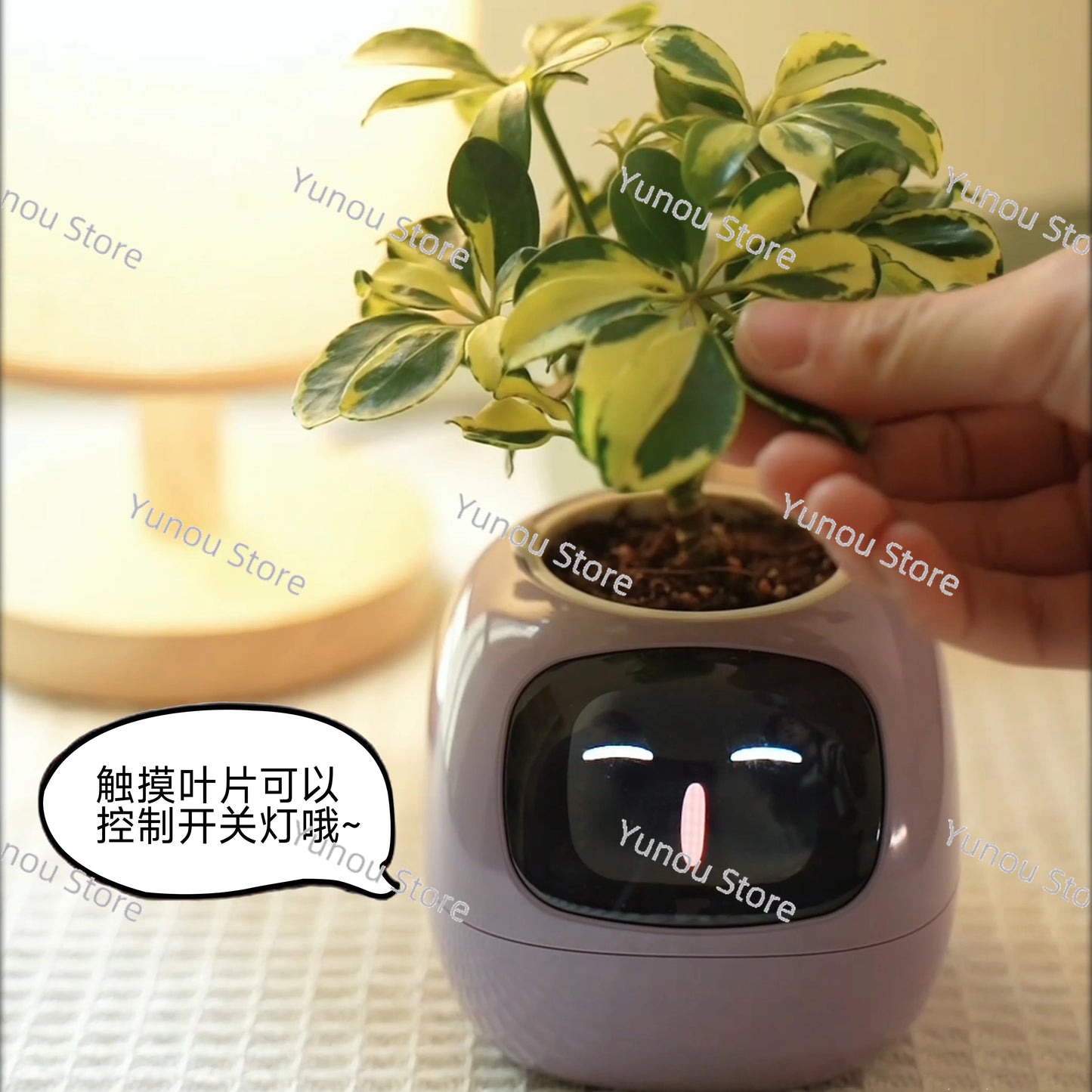 S73731a194c2a4b5caa53017802f0b938L