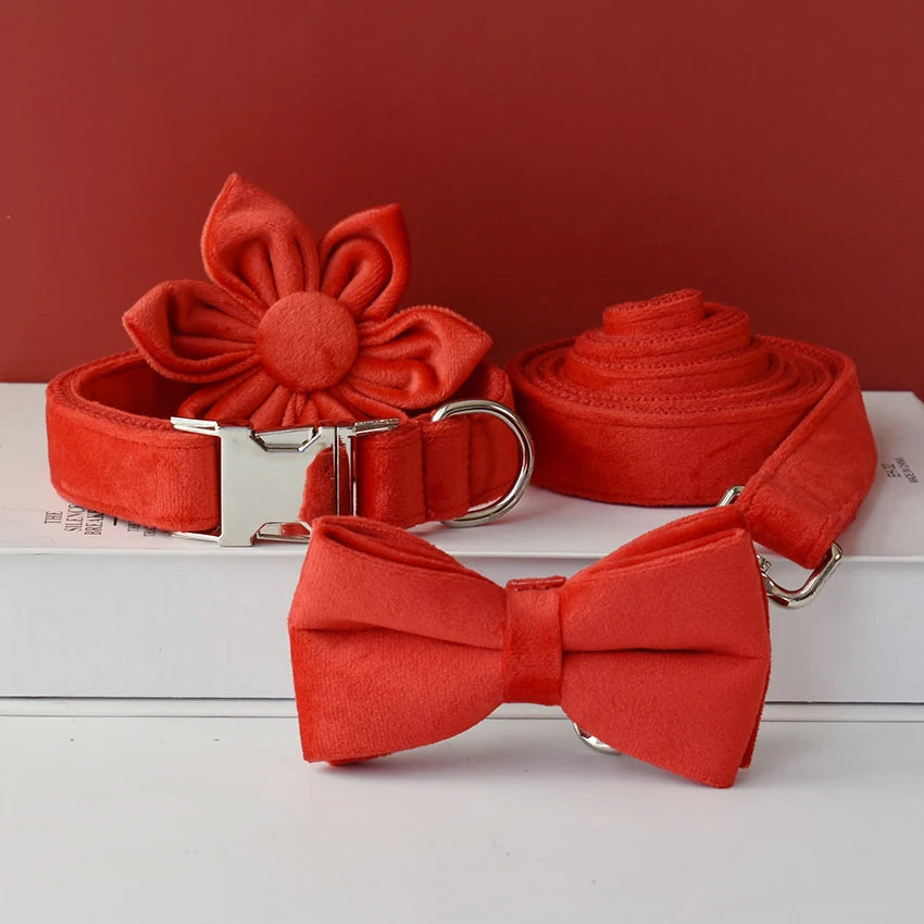 S74d00d186d2d4a73829abe9cfeadc92eK