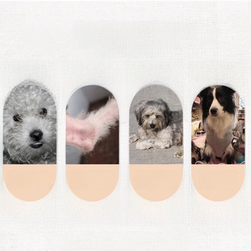 S78d7d6726cb34ee09a18736f80cc1c24t