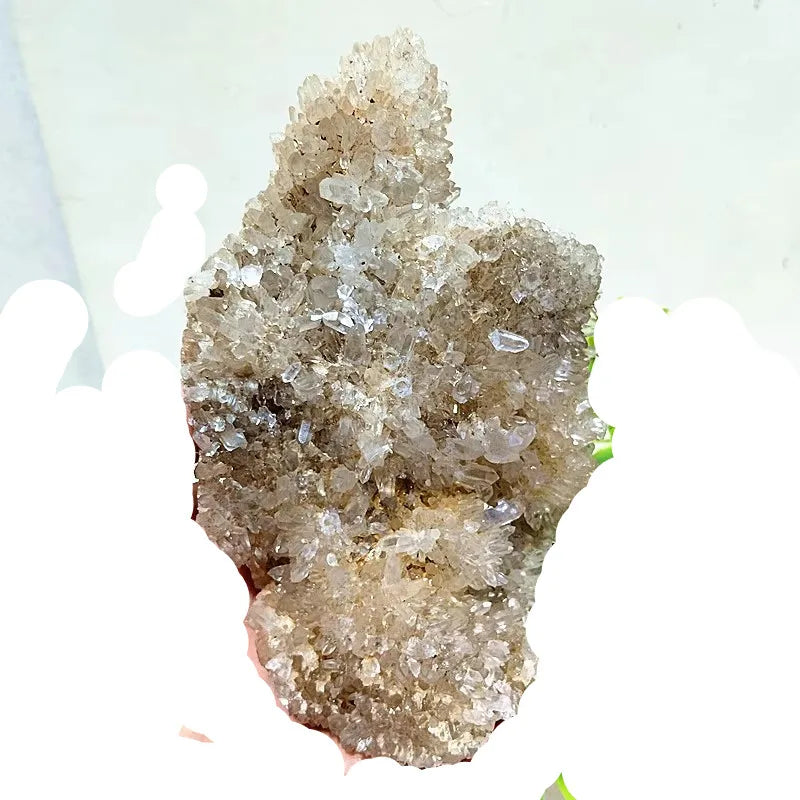 S7c0932f04d174dcfafae2487153116797