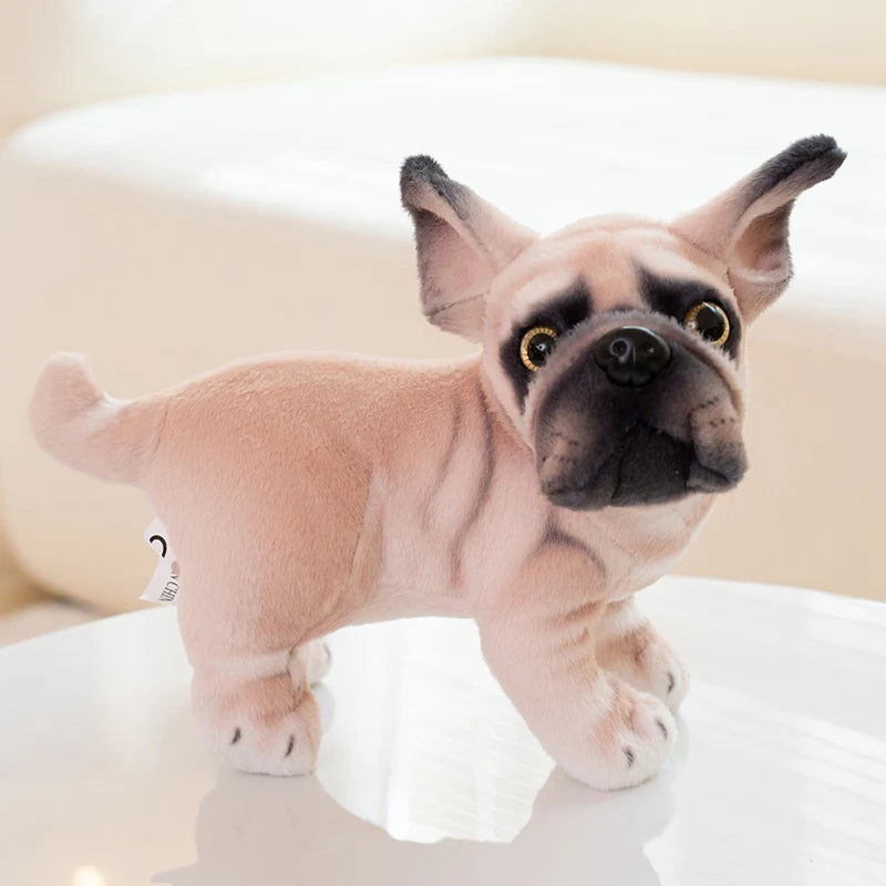 S82c31c34466e4f28be9c69983122ae50g