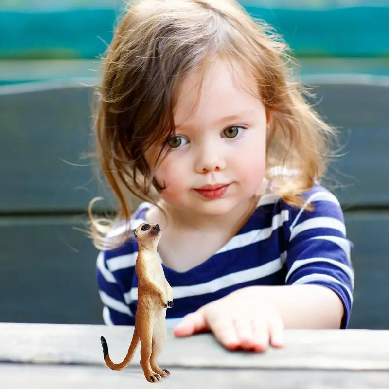 S9031cae187234f9d8c2b7818956c11da2