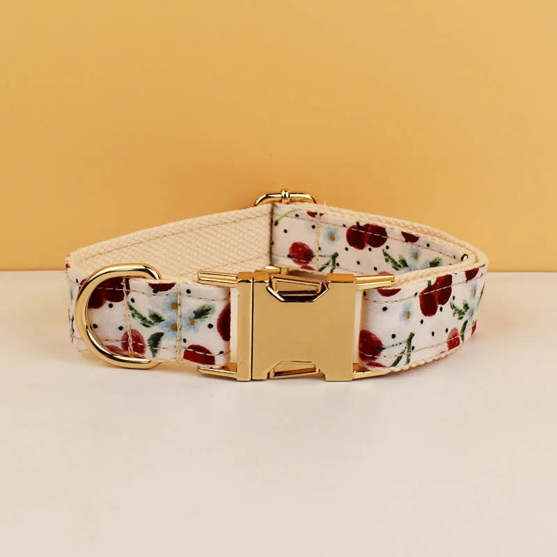 S92a966007b504c449f01d4407ee8eb7a7