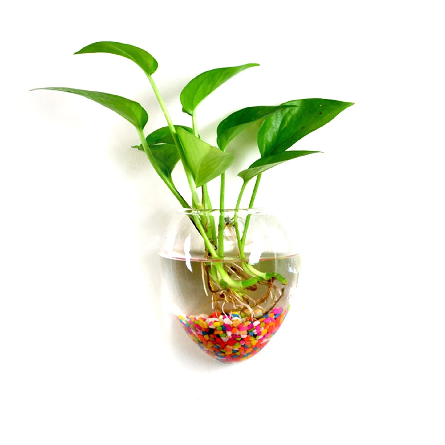 S92b80c19ecec4f0b9c76b95fc601664eb