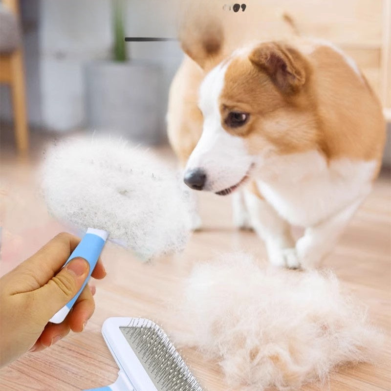 S950a7176acf04b7c922be7d98875b4ecp