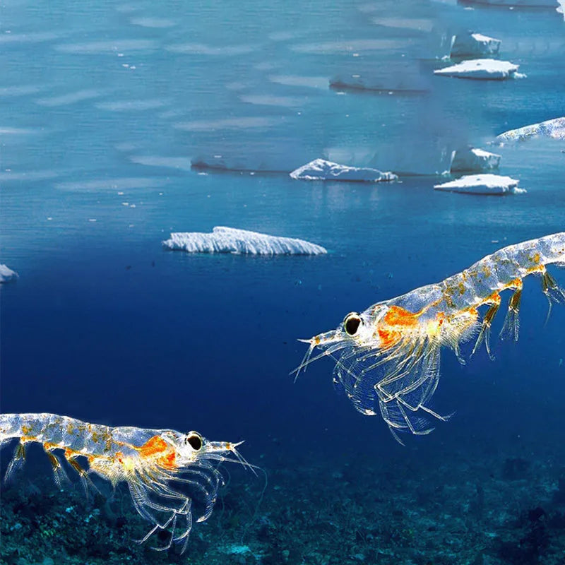 S97ac0a9d63d24fc49036f9faec08fc78g