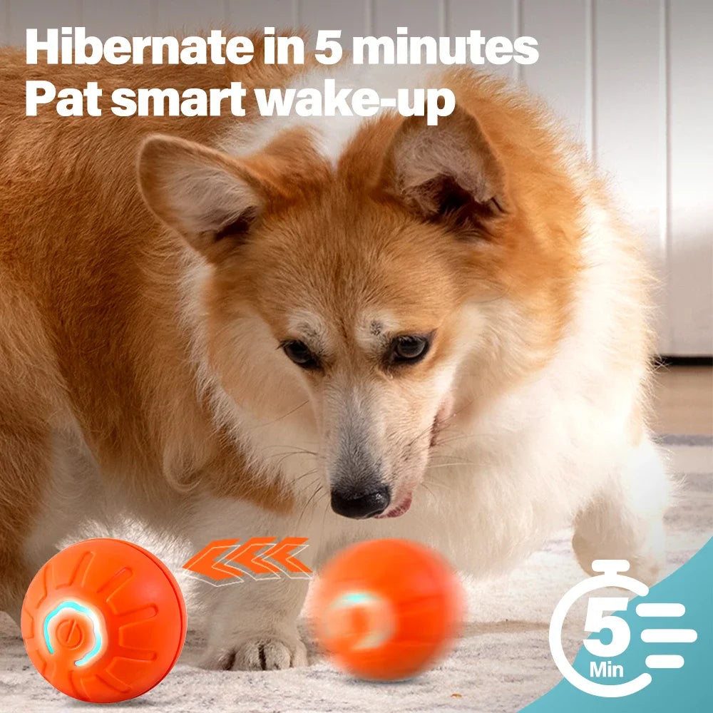 S97ff4fec6ced47e3848a3cd173c9ad0dt