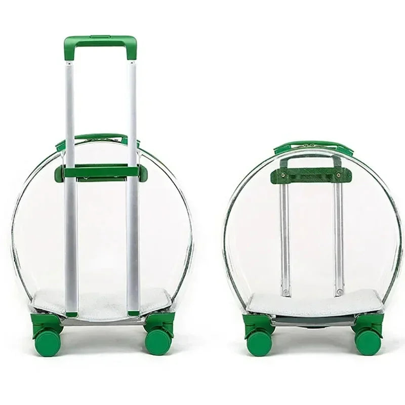 S9a05601e31c64f789d7f7d00e04f1becd