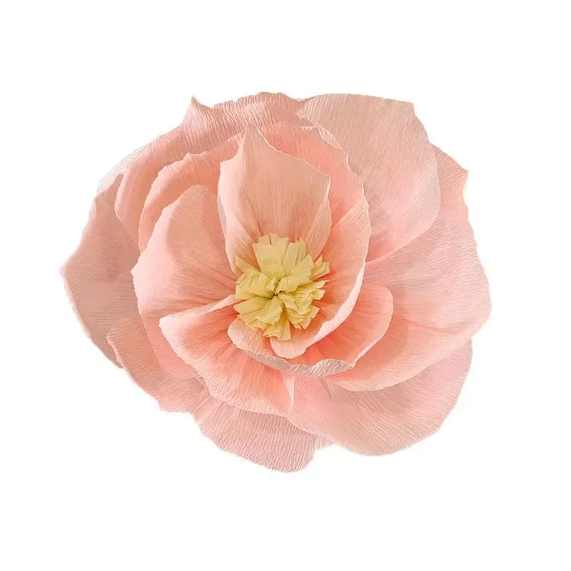 S9ac77ac570304b519a6a4cc9793b41fd8