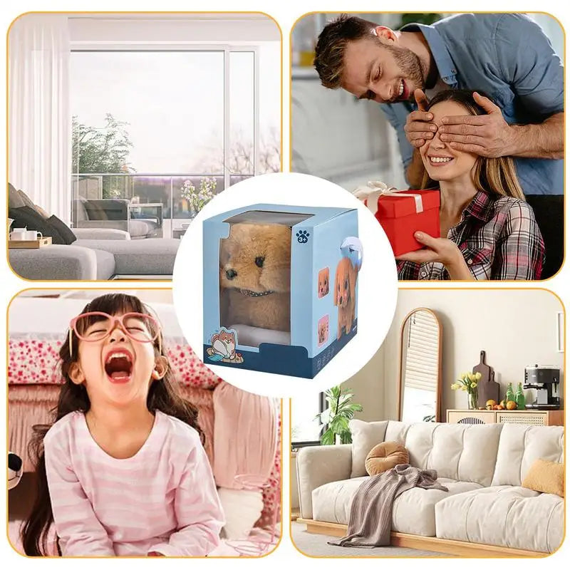 S9b4dbaa00bef418a98b9a57e55eaef92X