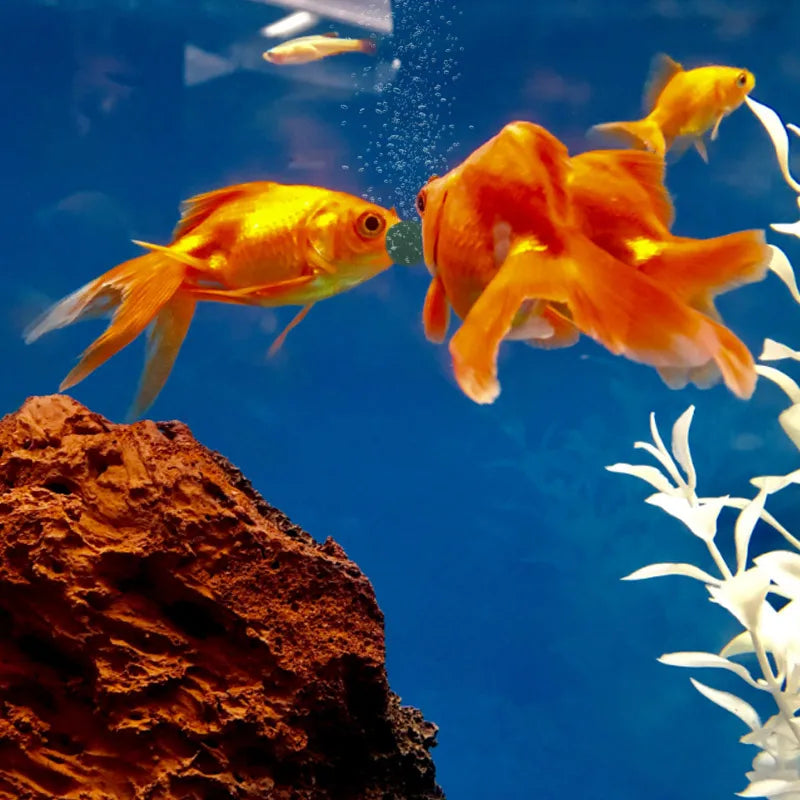 S9c4bb8e9430c421b8ee72be1eb544c08E