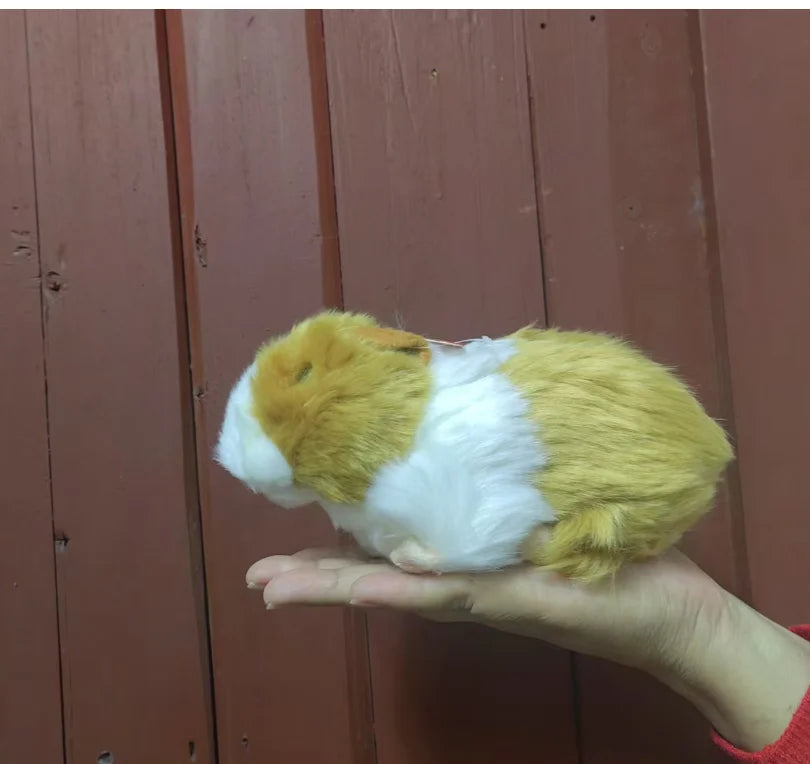 S9e5d77d004d743a1b8acbdcad39ed7bcg