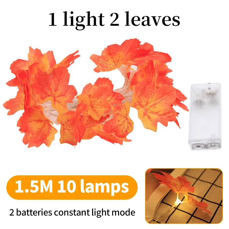 Sa17456acad04428fb1fd0c704e6ed6b8L