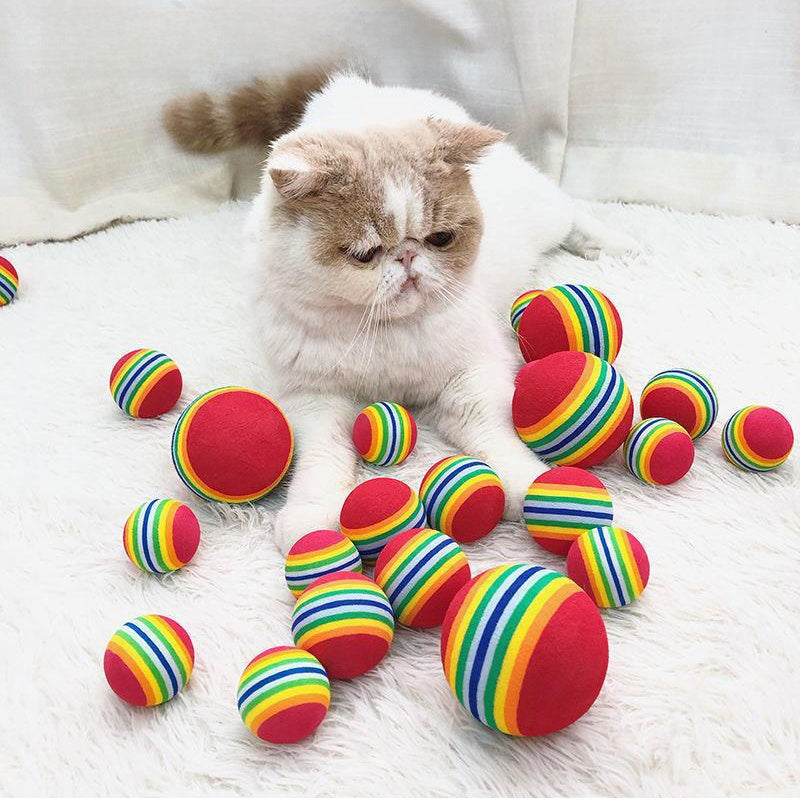 Sa1e9cb88c0334292bff84efa1b983db1P