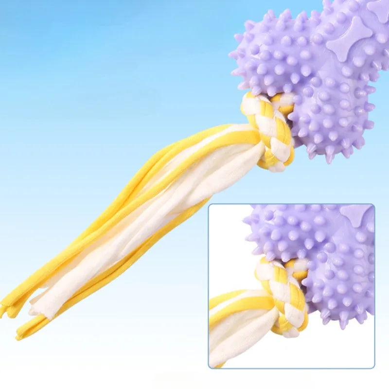 Sa2300404c1524546b6da779d2109ed8dY