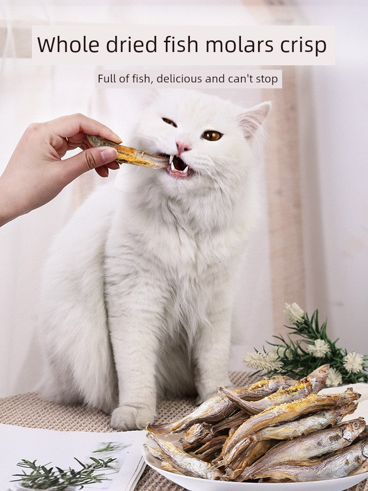 Sa3e02e55a98a448fb2b3e926a4e4d7d2G