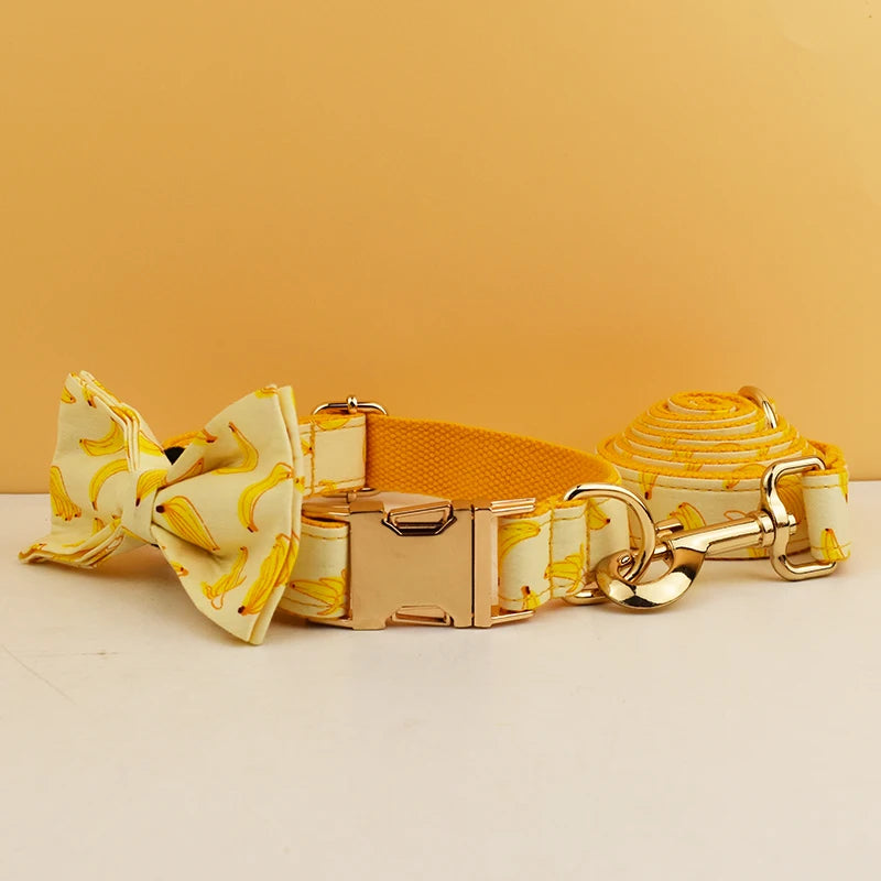 Sa49df8ca77404ed582a2762b188be8d7q