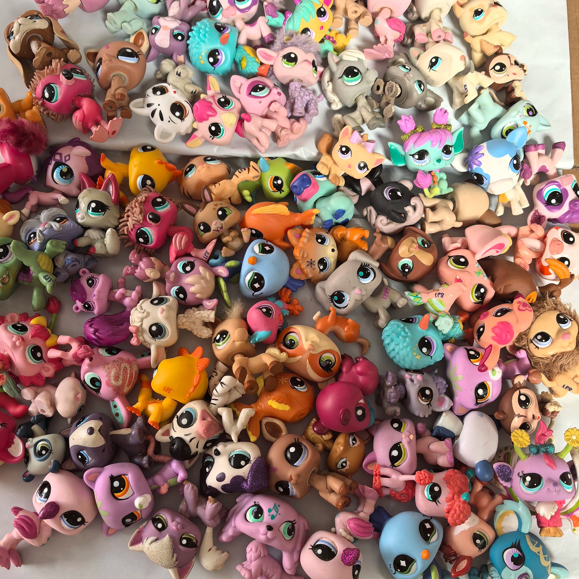 Sa4fb65f531b04266910d4d63d303f35bp