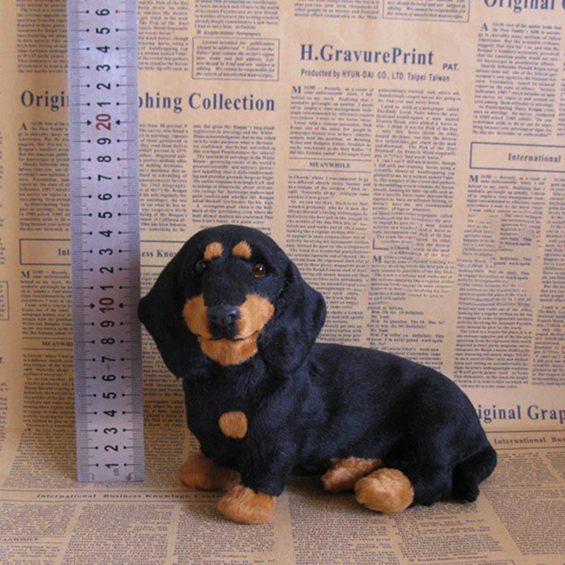 Sa5dae7294f584504ad8c47a33bd229abD