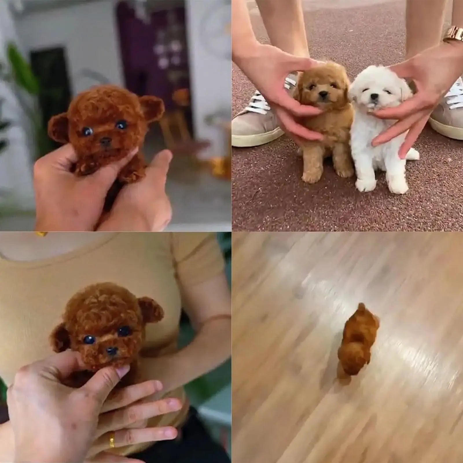 Sa7623191ca1d4b7db0098072a5680a837