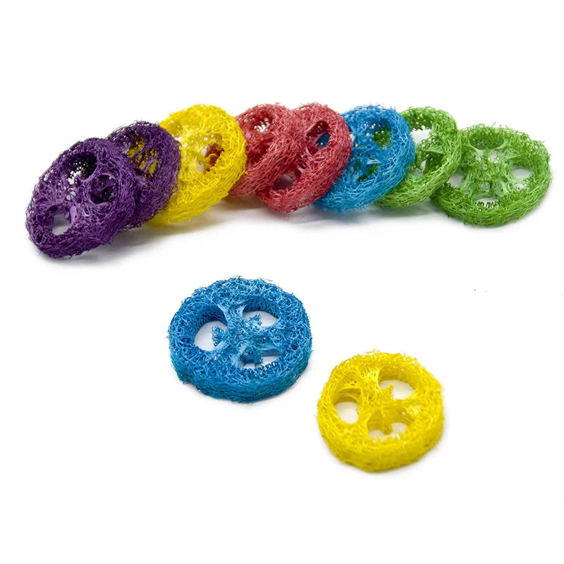 Sa9944309b07549f999723630939028226