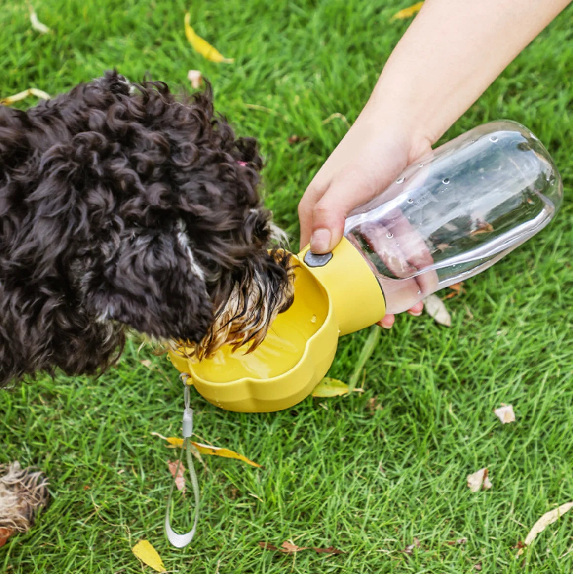 Sb09feaf5dab04f30b2f6e5b892e78514P