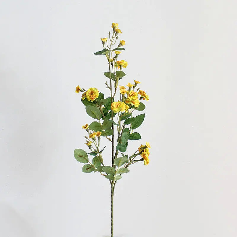 Sb528adf6724c4b5d924e9b5b5edcdb40V