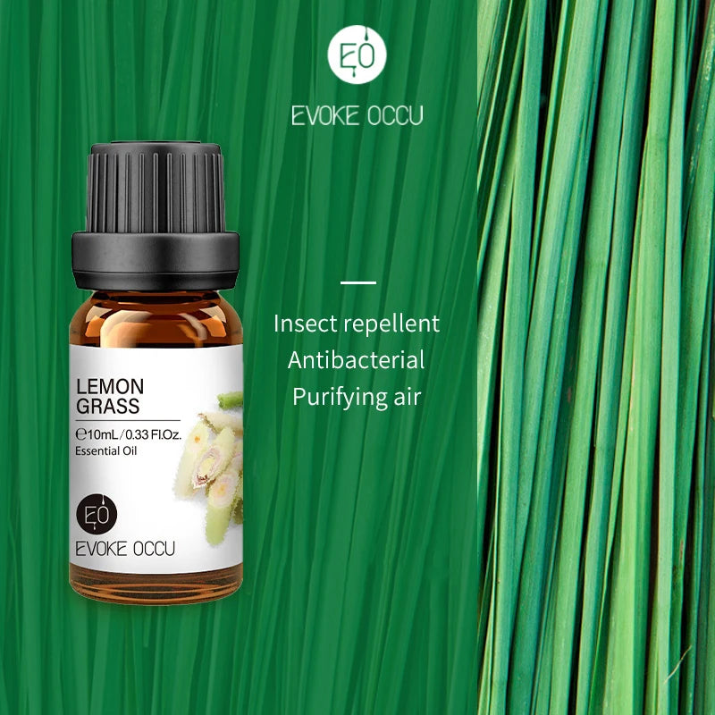 Sba5a3ce1aa254875ba344b40bf2ac005c